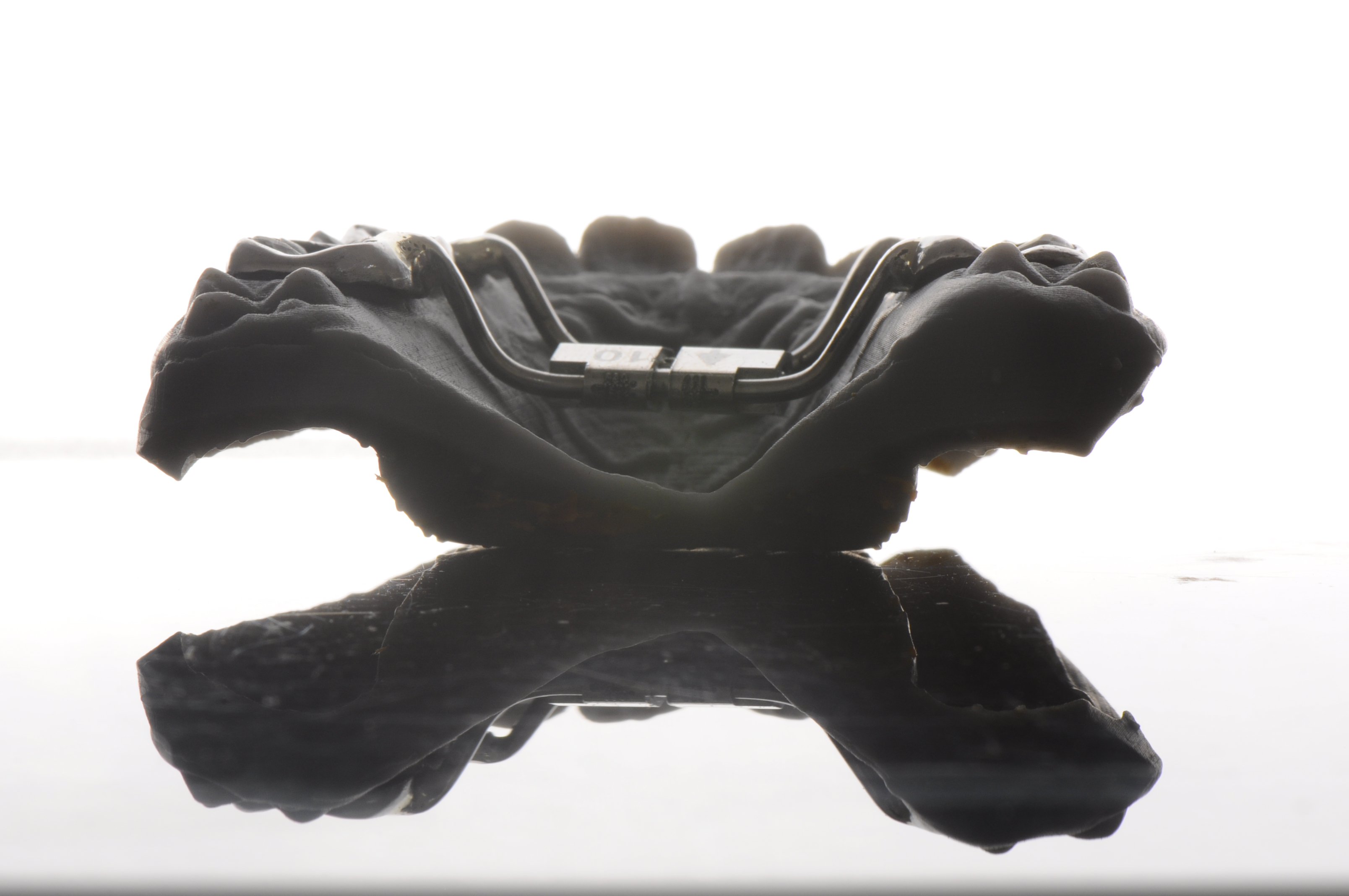 palatal expander